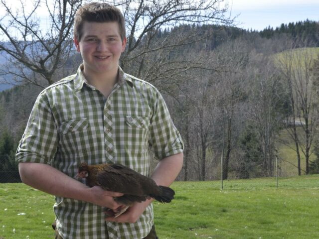 18-jähriger Niederösterreicher züchtet besondere Hühner